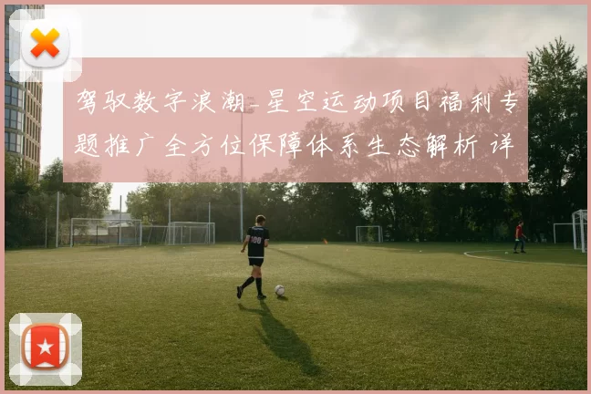 驾驭数字浪潮_星空运动项目福利专题推广全方位保障体系生态解析 详细趋势数据分析