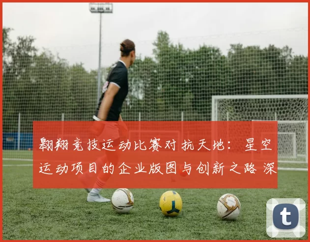 翱翔竞技运动比赛对抗天地：星空运动项目的企业版图与创新之路 深入变化趋势解读 详细趋势分析