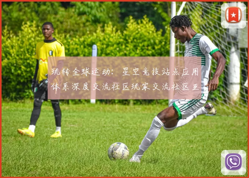玩转全球运动：星空竞技站点应用体系深度交流社区玩家交流社区互动进行执行使用执行使用体验