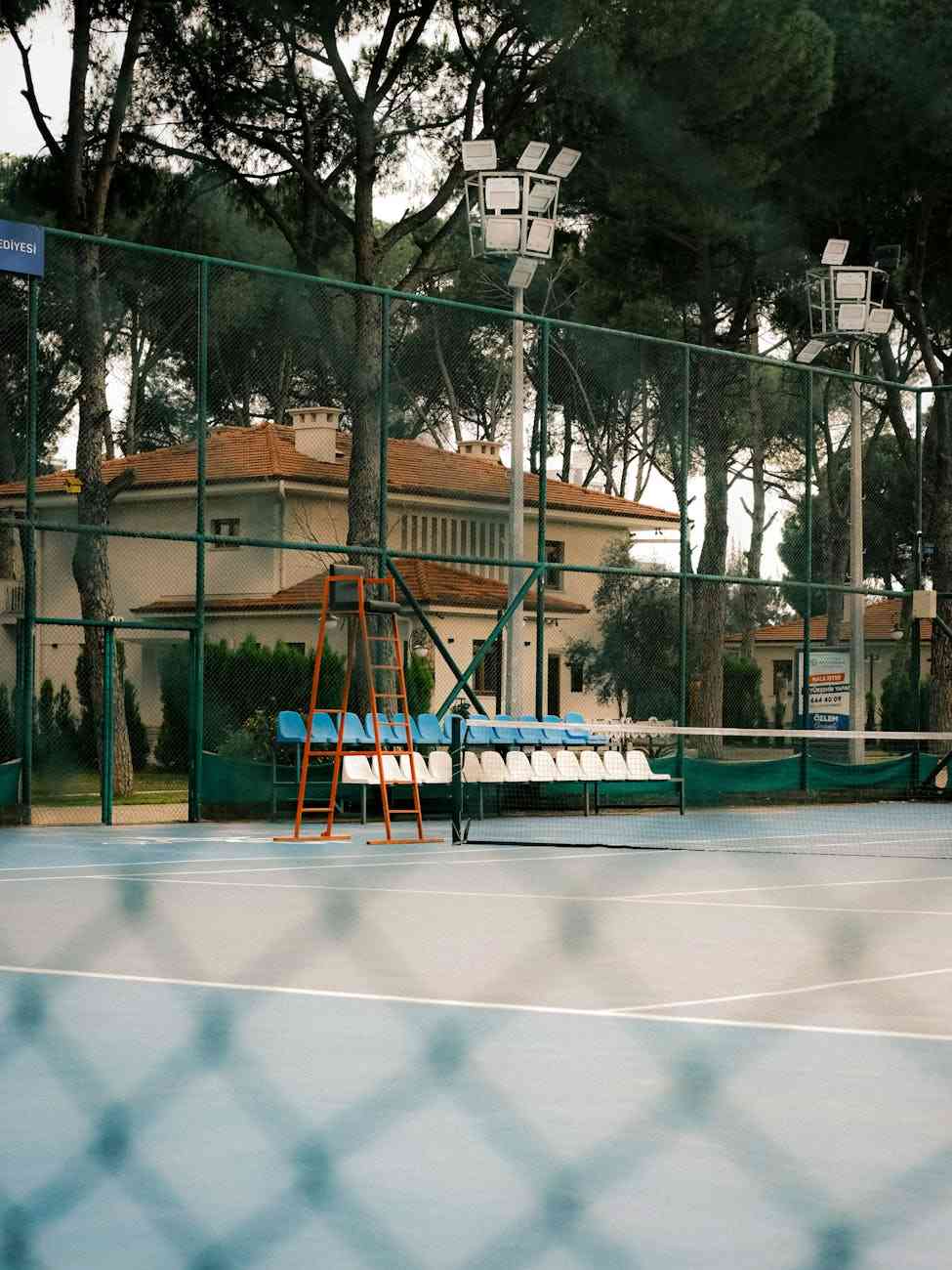 星空竞技：综合实力与未来发展蓝图 综合解读 详细分析