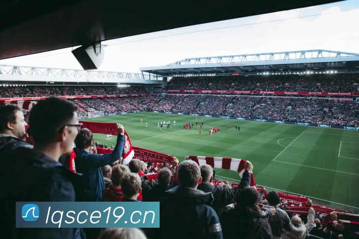 星空体育app发展历程