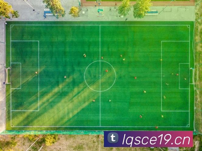 星空体育appAPP 封面图